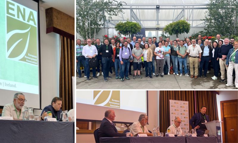 SPS agreement and plant health among top topics for HTA and European counterparts at meeting in Dublin