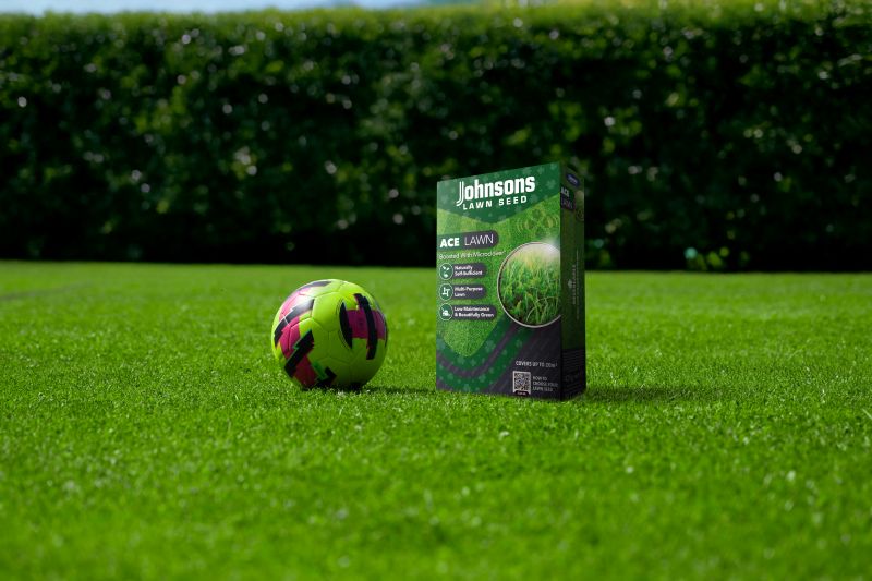 Five essential lawn care jobs you need to do this Autumn