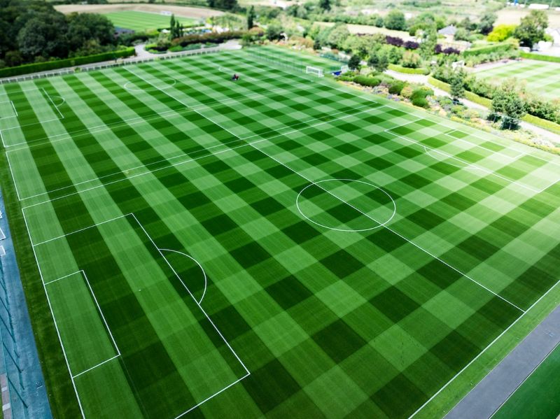 Tottenham Hotspur&rsquo;s holistic approach to pitch renovations