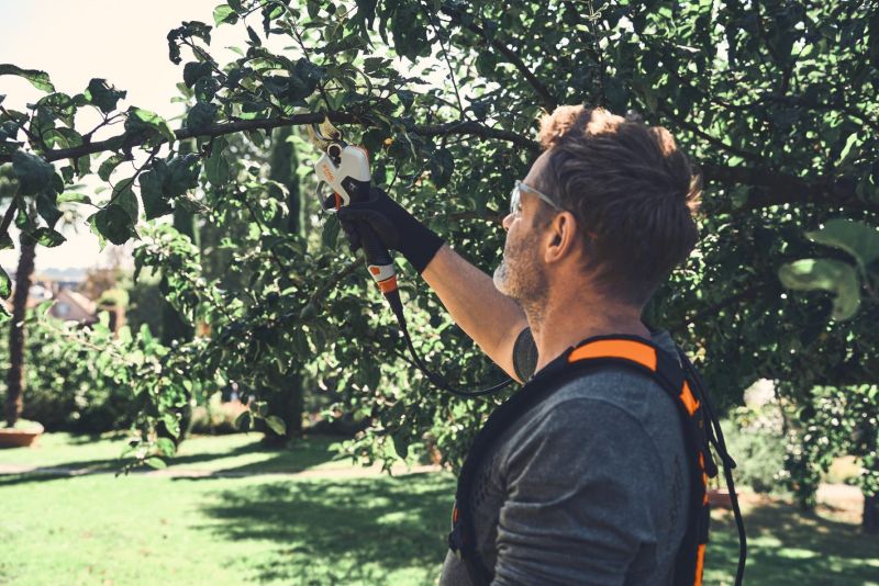 STIHL launches battery-powered pruning shears for precise cutting 