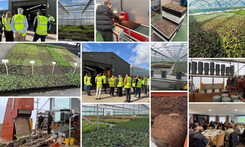 Latest HTA grower workshop boosts learning and knowledge on peat-free