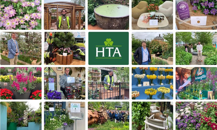 Award success at Chelsea as HTA and APL members triumph