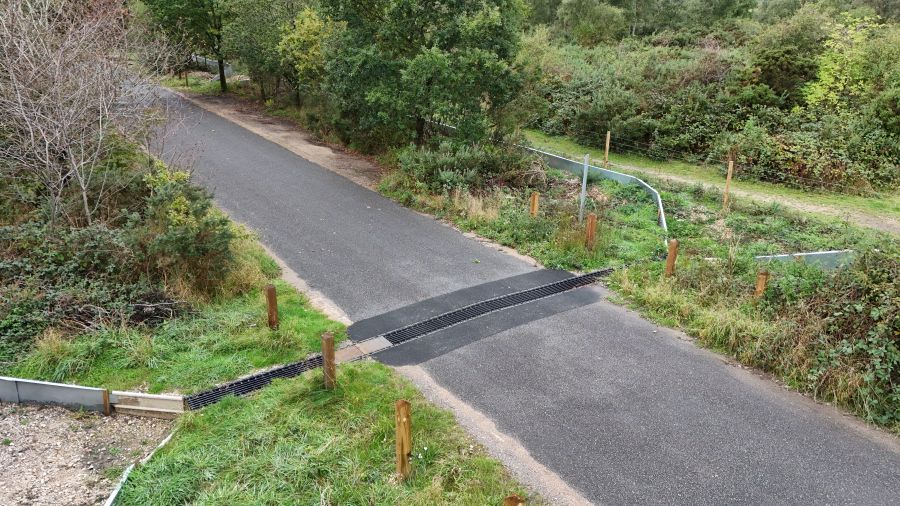 Conserving UK's native adder population
