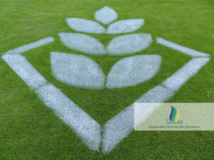 TurfCare appointed as new UK distributor for DSV