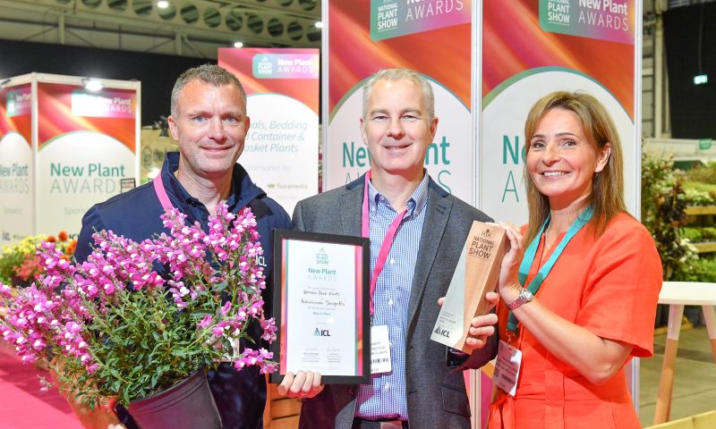 Antirrhinum 'Shiryu Kiss' wins Best in Show at HTA&rsquo;s New Plant Awards 2026