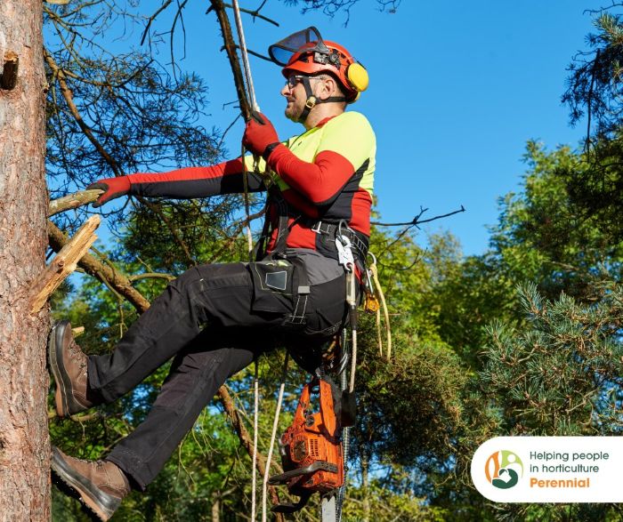 Horticulture leaders join the industry charity to help shape future of support