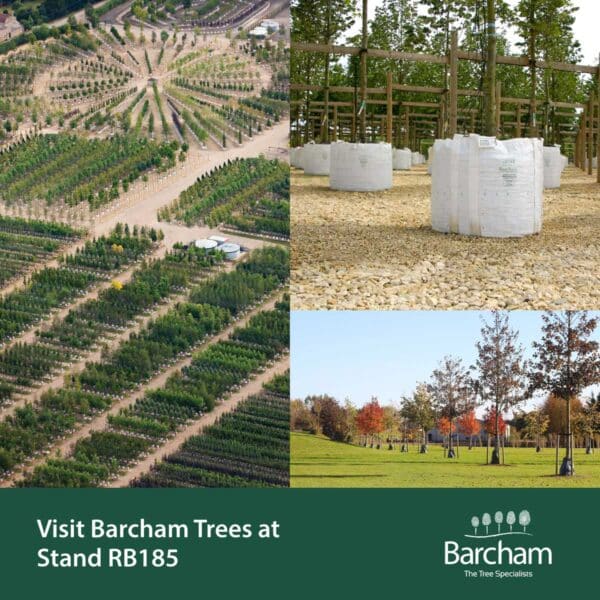 Barcham Trees to make GroundsFest debut