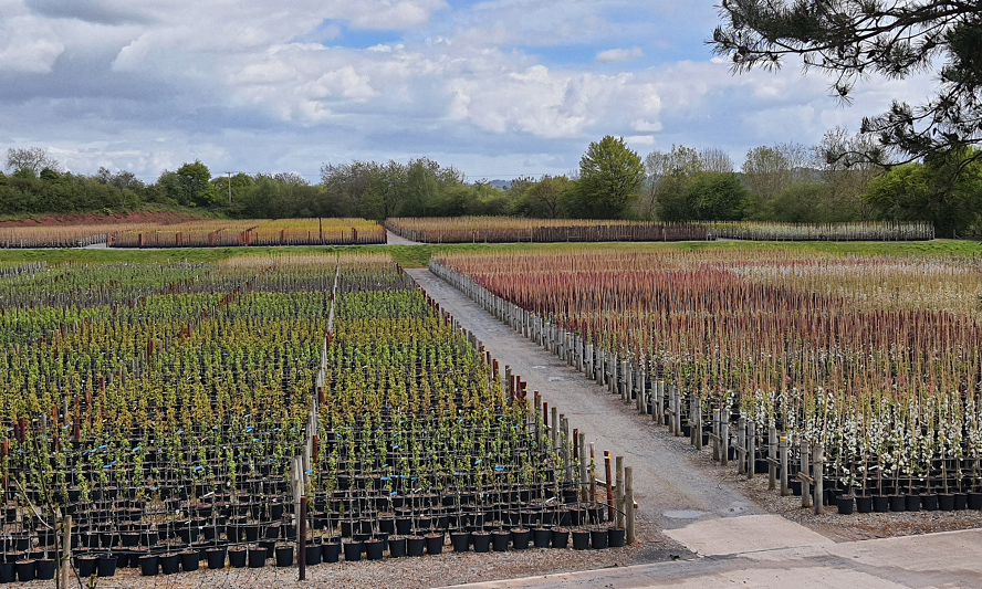 Survey opens on the future of horticulture and landscape apprenticeships