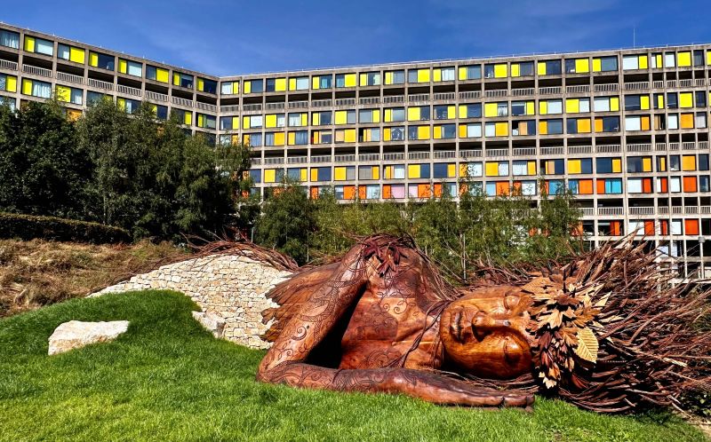 Top award-winning RHS Chelsea Flower Show garden begins new life at Sheffield&rsquo;s Park Hill