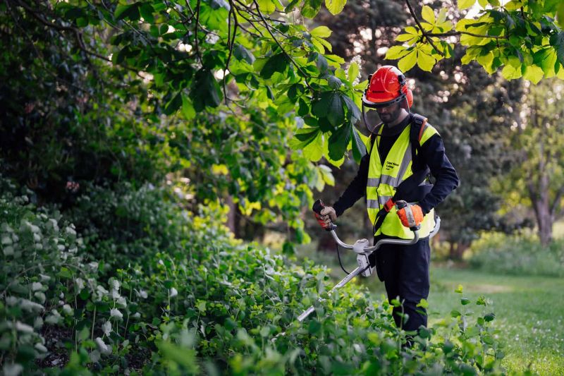 Capel Manor College and Groundwork London partner to create new pathways into green careers