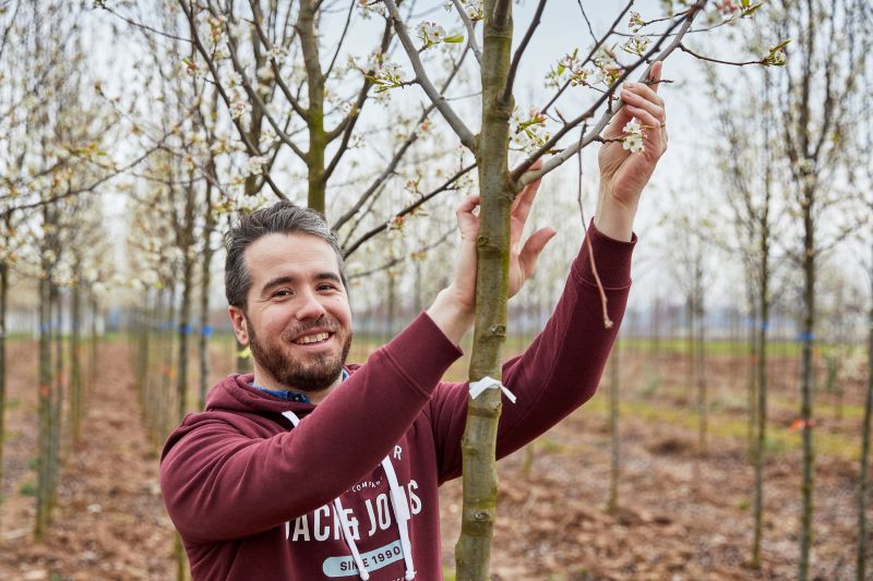 Original Select range grown to foster resilient native tree planting