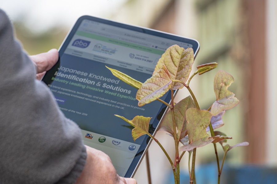 PBA Solutions is Celebrating 30 years in business