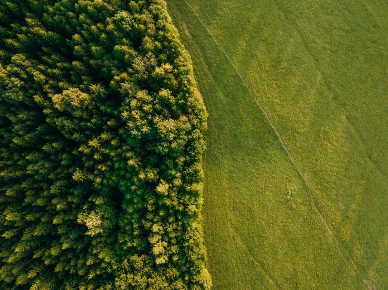 Lantra report calls for more joined-up approach to skills development across land-based sector