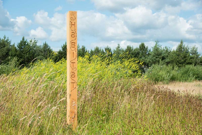 Ecological grounds management with Niche at GroundsFest 2025