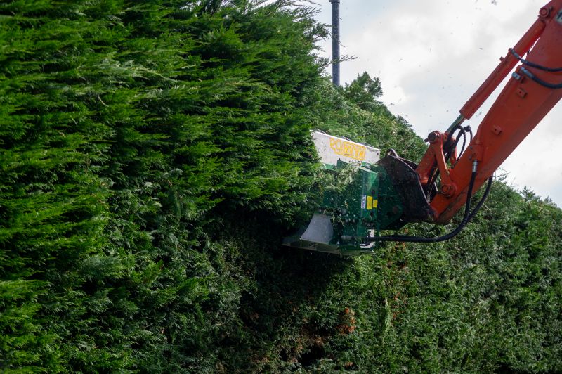 Major trimming hedges and fuel costs