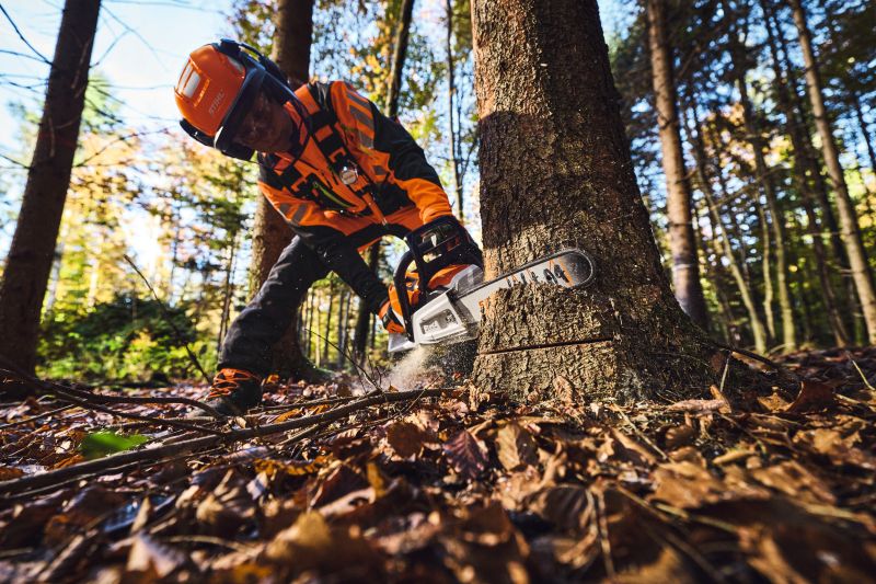 STIHL introduces high-performance, low-weight chainsaw for professional forest thinning and maintenance tasks