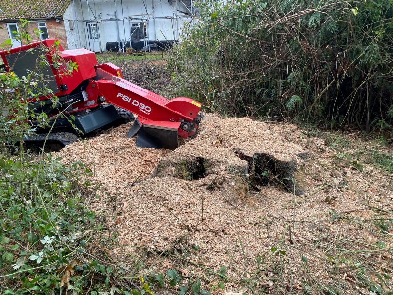 The Norfolk Arborist thrives with reliable stump grinding solutions from FSI