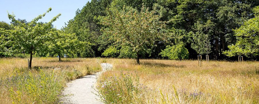 Contractor appointed for Oxford Burial Meadow 