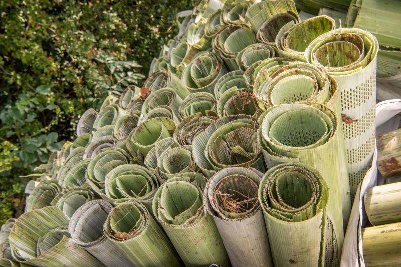 Tubex reports significant increase in number of tree shelters collected and recycled