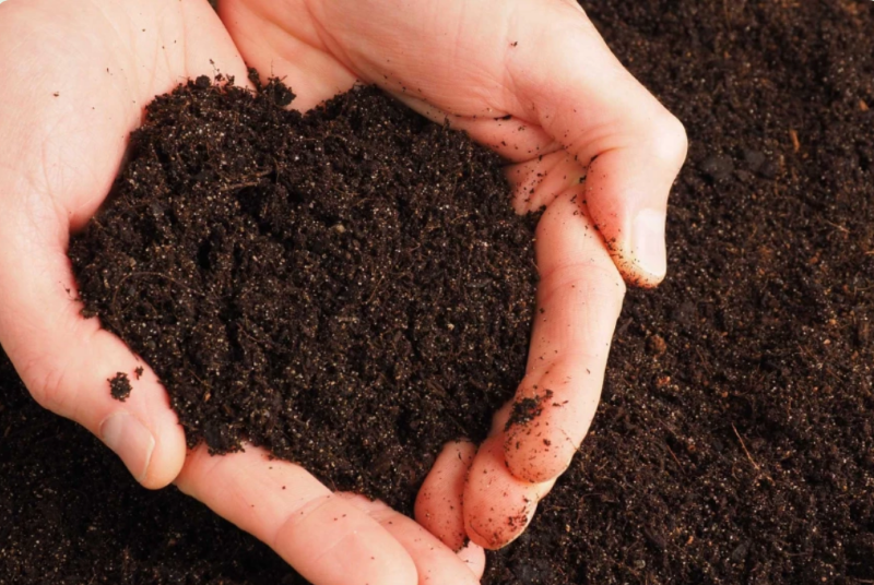 Choose Ruskins for soil biology