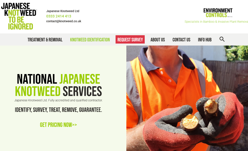 Japanese Knotweed Ltd celebrates 15 years of invasive weed management