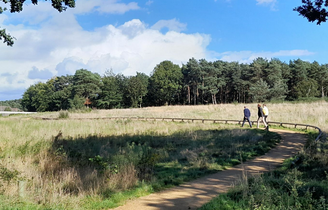 Mindenhurst Park joins the Land Trust SANG portfolio