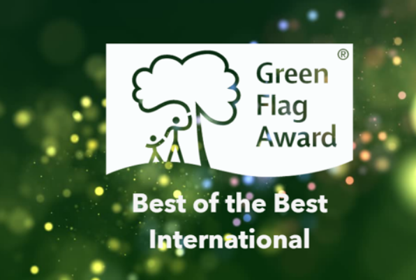 International Best of the Best awards 2025-26