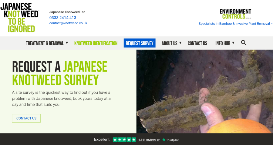  Skipping a Japanese Knotweed survey could cost your project thousands, experts warn