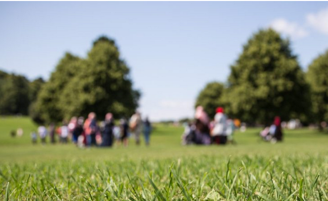 Overwhelming support for the Gardens Trust&rsquo;s statutory consultee role