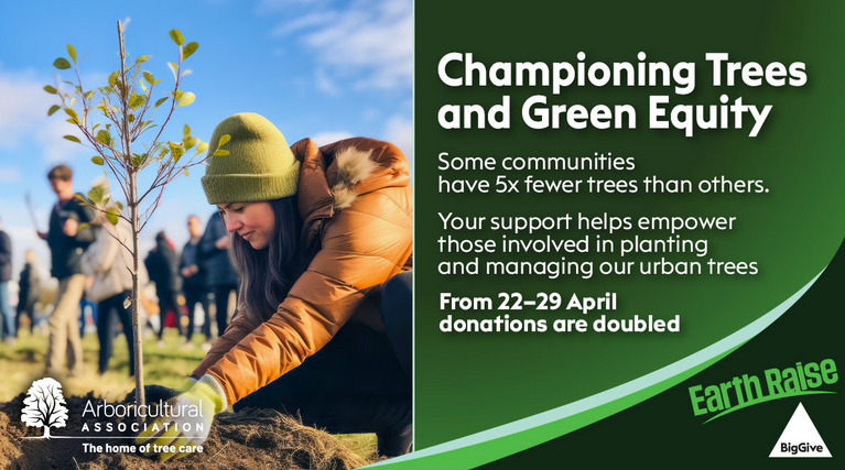 Some communities have five times fewer trees than others