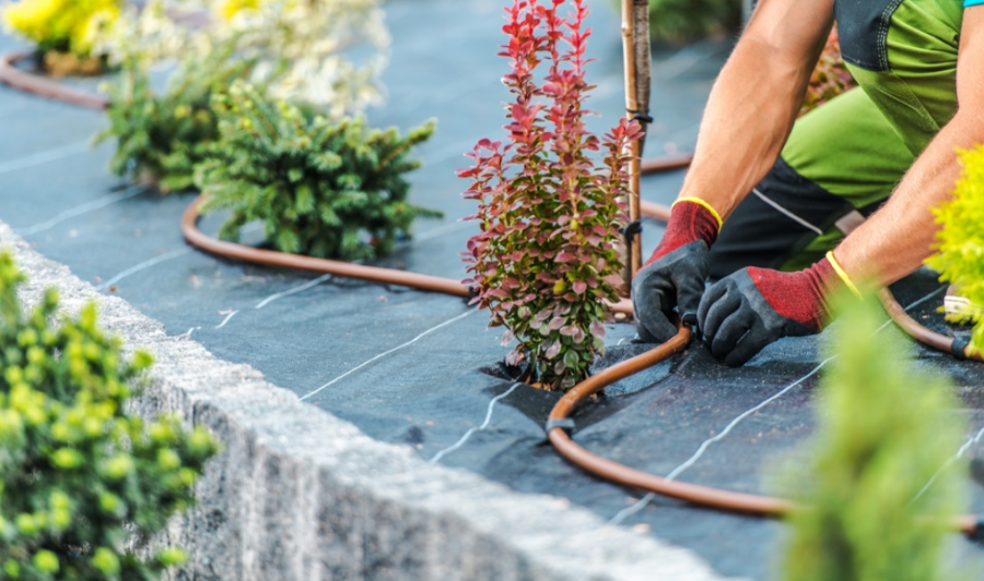 Industry calls for urgent action on water restrictions to protect UK green infrastructure