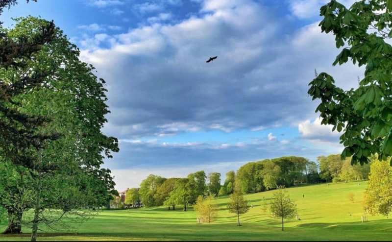 Britain&rsquo;s green divide - poorest areas twice as likely to have unsafe, run-down parks