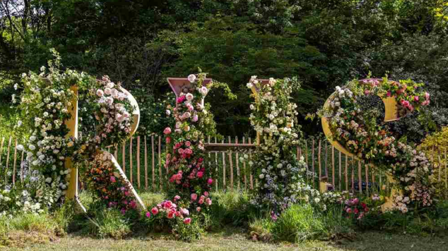 RHS confirms 2027 shows including new festival for the South West