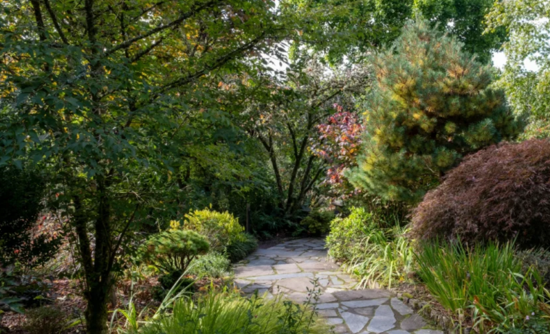 New research reveals garden trees for the future