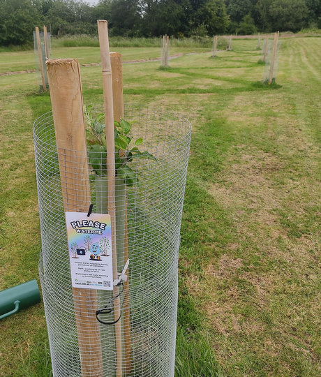 Origin Green-tech supports Dilton Marsh village orchard project to restore Wiltshire's orchard heritage 