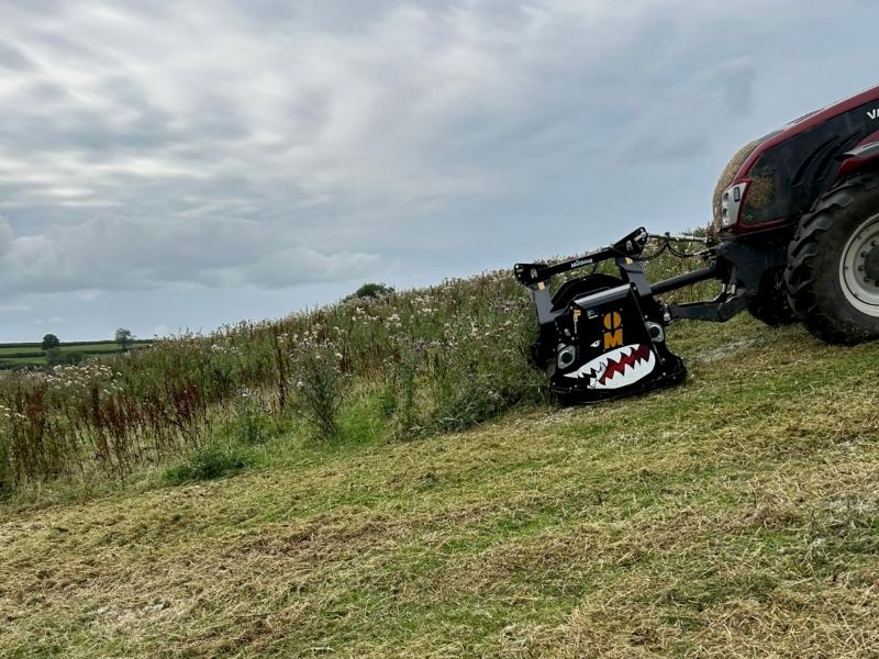 Shark bites tough weeds