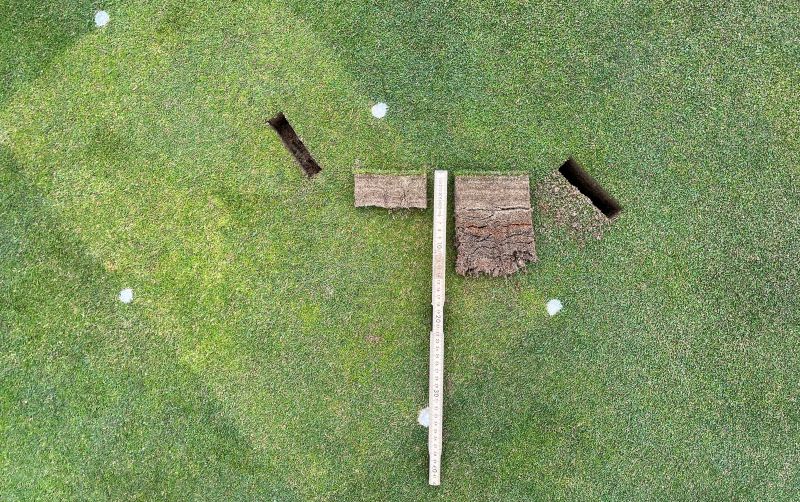 Two new biostimulants from Syngenta to tackle stress and promote turf health on show at BTME 2026