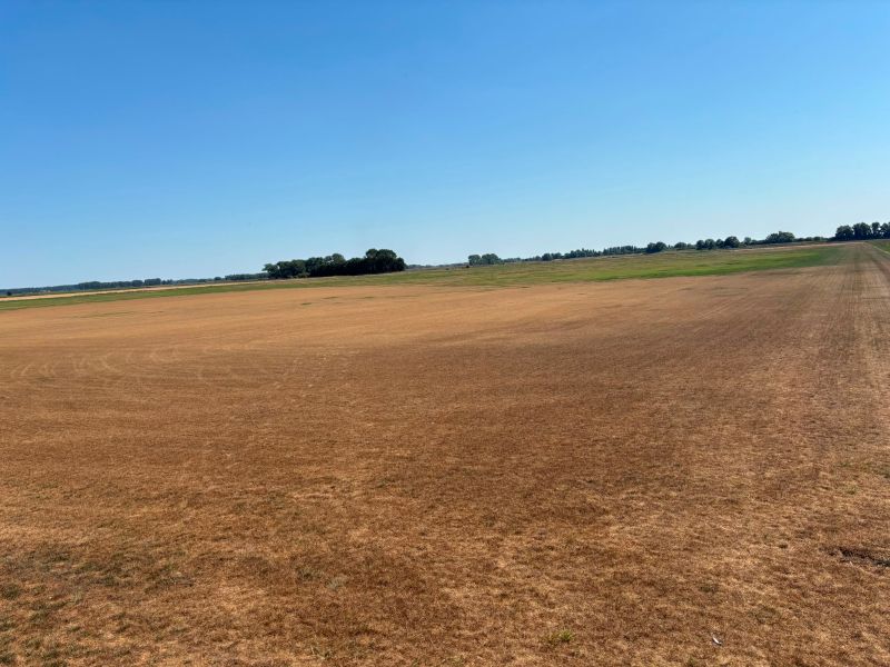 The Turfgrass Growers Association warns the UK turf industry is at a defining moment
