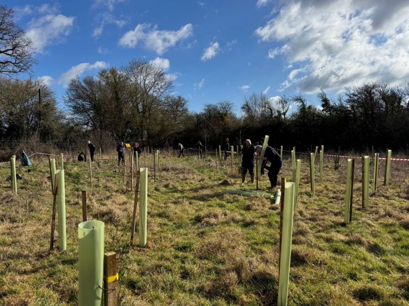 Wyevale Nurseries supports landmark tree planting project at Cotswolds Distillery