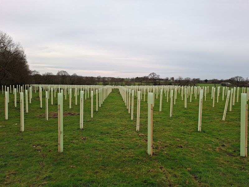 Tubex tree shelters now made with minimum 50% recycled content