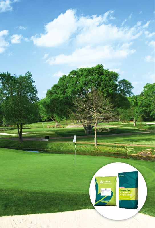 After the Summer, let's talk turf