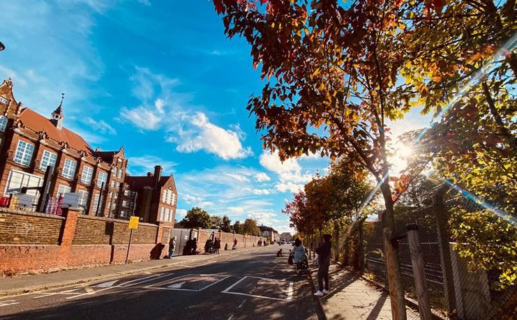Hillier and Street Trees for Living announce strategic partnership