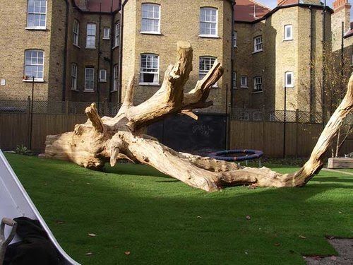 Designing multi-functional outdoor spaces through the power of Play Trees