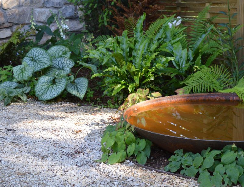 Bringing biodiversity into gardens - tips from the SGLD at RHS Chelsea