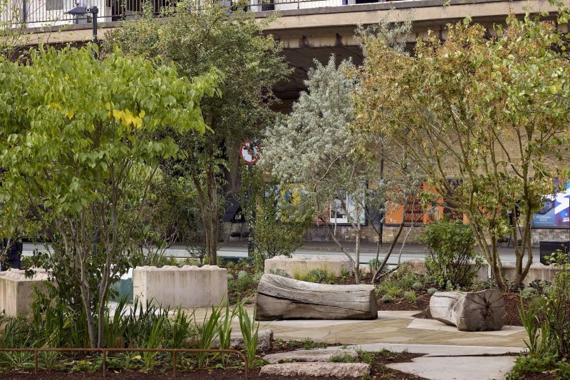 Real-world trial starts exploring how technology can protect the trees that keep our cities cool