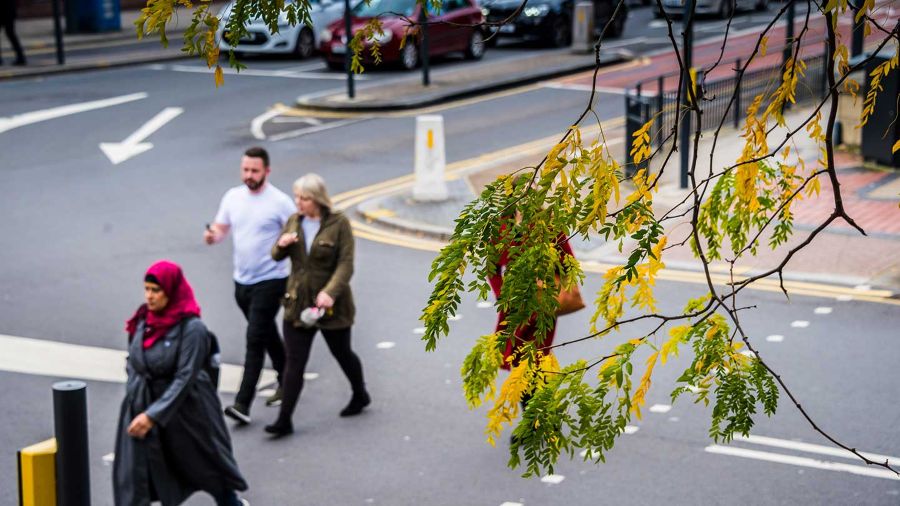 Towns and cities need more trees to tackle soaring temperatures  