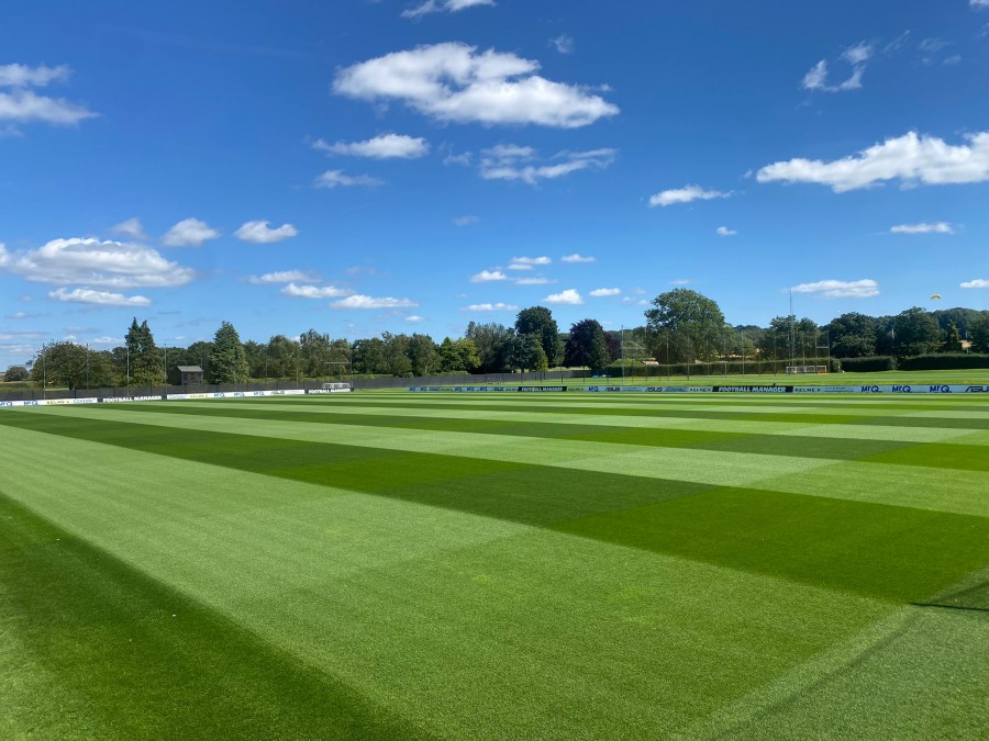 Innovative Approaches in Turf Health: The Role of Consolidate Turf