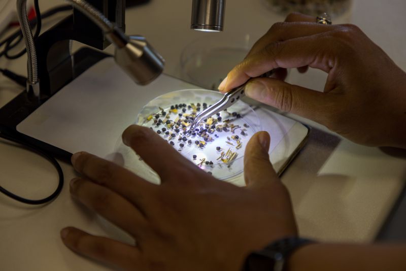 Wildflower Co. is a finalist in Tech and Innovation Awards