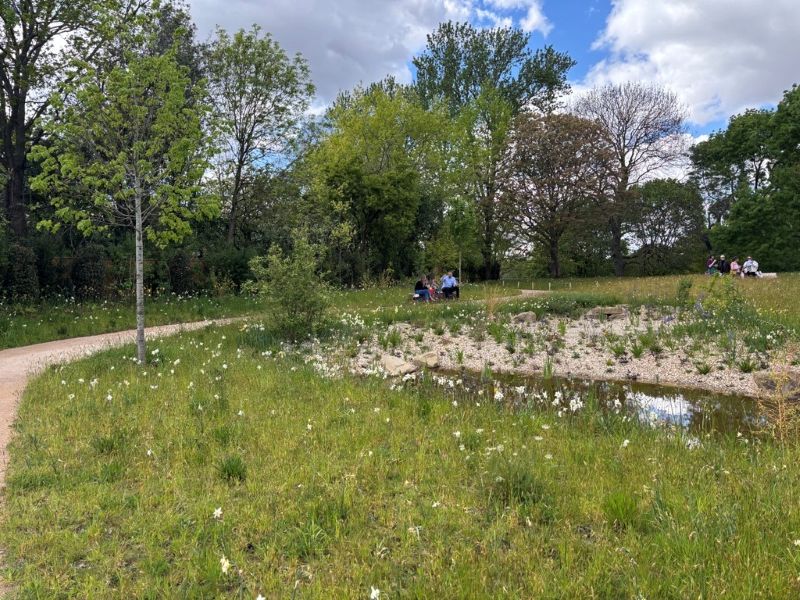 Wildflower Co. brings biodiversity to the new Queen Elizabeth II Memorial Garden in Regent&rsquo;s Park 