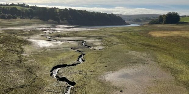 More areas in England declared in drought after record dry July 